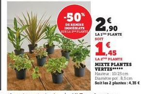 -50%  DE REMISE IMMEDIATE SUR LA PLANTE  2,90  LA 1 PLANTE SOIT  45  LA 2 PLANTE  MIXTE PLANTES VERTES*****  Hauteur: 10/25 cm Diamètre pot: 8,5cm Soit les 2 plantes: 4,35 € 