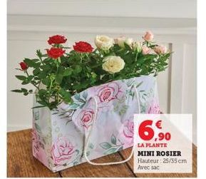 6.90  LA PLANTE  MINI ROSIER Hauteur: 25/35 cm  Avec sac 