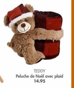 TEDDY  Peluche de Noël avec plaid 14.95 