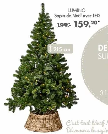 sapin de noël 