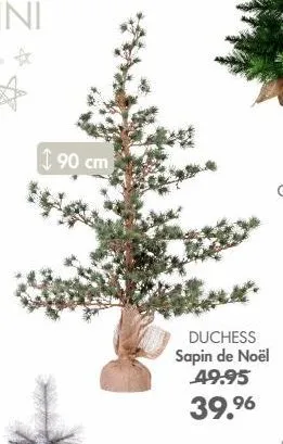 sapin de noël 