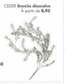 ceder branche décorative à partir de 8.95 