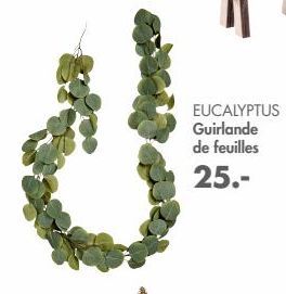 EUCALYPTUS  Guirlande de feuilles 25.-