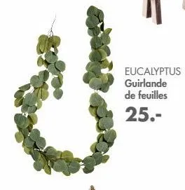 eucalyptus  guirlande de feuilles 25.-