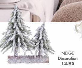 NEIGE Décoration 13.95 