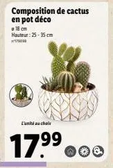 18 cm hauteur: 25-35 cm 179090  composition de cactus en pot déco  lunni au chaine  17⁹⁹ o  99  ne 