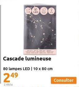 80 LED,  Cascade lumineuse  80 lampes LED | 10 x 80 cm  Consulter 
