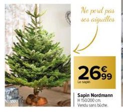 sapin 