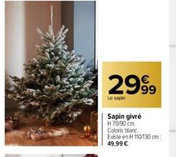 sapin 