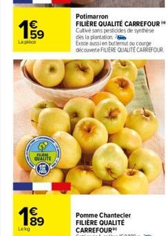 €  159  La pièce  Lekg  TURN QUALITE  89  Potimarron  FILIÈRE QUALITÉ CARREFOUR Cutivé sans pesticides de synthèse des la plantation  Existe aussi en butternut ou courge découverte FILIERE QUALITÉ CAR