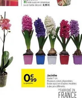099  la jacinthe  jacinthe godet 7 cm. plusieurs coloris disponibles. existe aussi en d'autres modeles  à des prix différents.  infabriqué en  france 