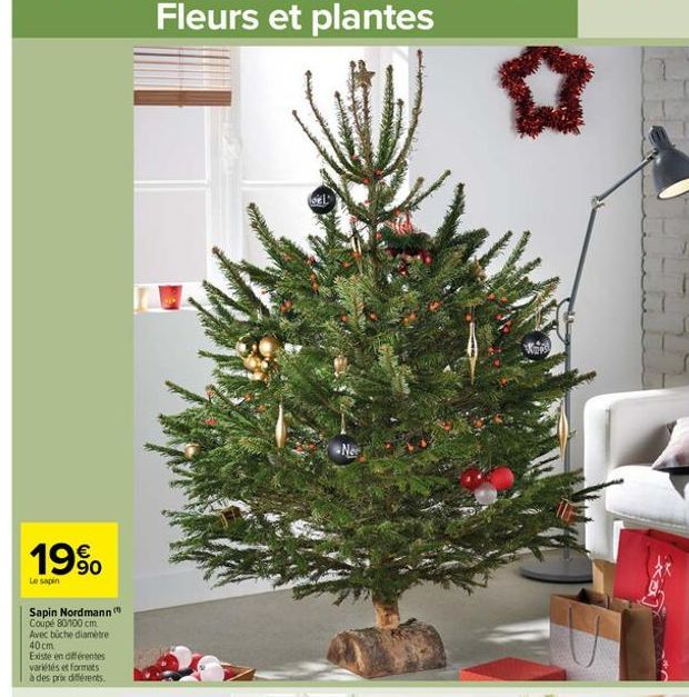 19%  Le sapin  Sapin Nordmann Coupé 80/100 cm. Avec buche diamètre 40cm  Existe en différentes  variétés et formats à des prix différents.  Www 