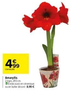 € +99  camarys  amaryllis  2 tiges, 013 cm  bexiste aussi en céramique ou en bulbe décore: 8,99 € 