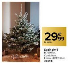 sapin 