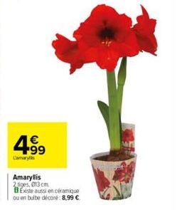 € +99  Camarys  Amaryllis  2 tiges, 013 cm  BExiste aussi en céramique ou en bulbe décore: 8,99 € 