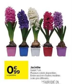 099  la jacinthe  jacinthe godet 7 cm. plusieurs coloris disponibles. existe aussi en d'autres modeles  à des prix différents. 