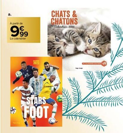 A partir de  999  €  Le calendrier  UN  2023  STARS FOOT  CHATS & CHATONS  Calendrier 2023  E CALENDRIER SOUTIENT LE 