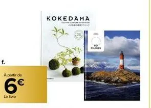 a partir de  6€  le livro  kokedama 