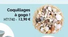 coquillages  à gogo! ht1740 - 12,90 € 