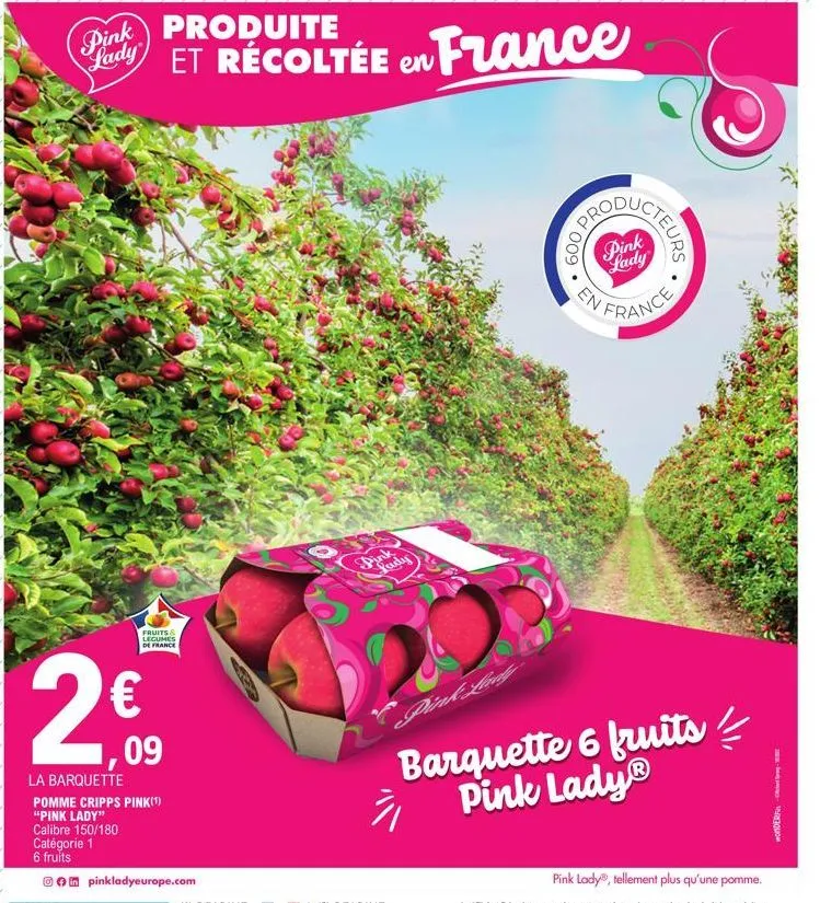 2€  fruits & legumes de france  catégorie 1  6 fruits  la barquette pomme cripps pink(¹) "pink lady"  calibre 150/180  09  in pinkladyeurope.com  dink  600 pro  .  prod  ucteurs  pink lady  en france 