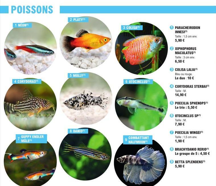 poissons 