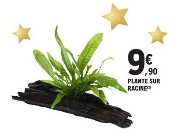 99  €  ,90 PLANTE SUR RACINE(2) 