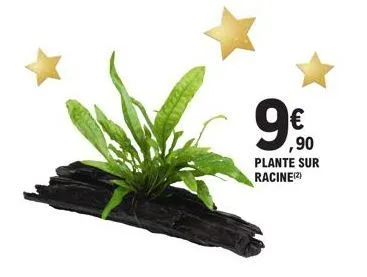 99  €  ,90 plante sur racine(2) 