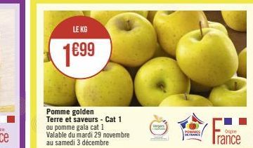LE KG  €99  Pomme golden Terre et saveurs - Cat 1 ou pomme gala cat 1 Valable du mardi 29 novembre au samedi 3 décembre  Vergers  POMMES DE FRANCE  Origine  Trance 