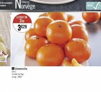 norvège  le filet de 2kg 3€29  dclemenvilla cat l le filet do 2kg le kg: 1465  asc 