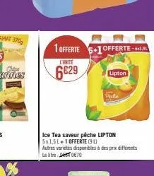 pêche lipton