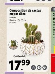 18 cm Hauteur: 25-35 cm 179090  Composition de cactus en pot déco  Lunni au chaine  17⁹⁹ o  99  ne 