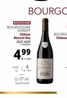 BOURGOGNE  BOURGOGNE GAMAY  Château  Blaceret-Roy 2021 AOP n*5616843  4.⁹9  Tan 14-16°C  Souple & Fruité  2021  I G 
