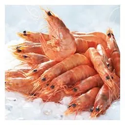 crevettes cuites de 60 à 80 pièces au kilo