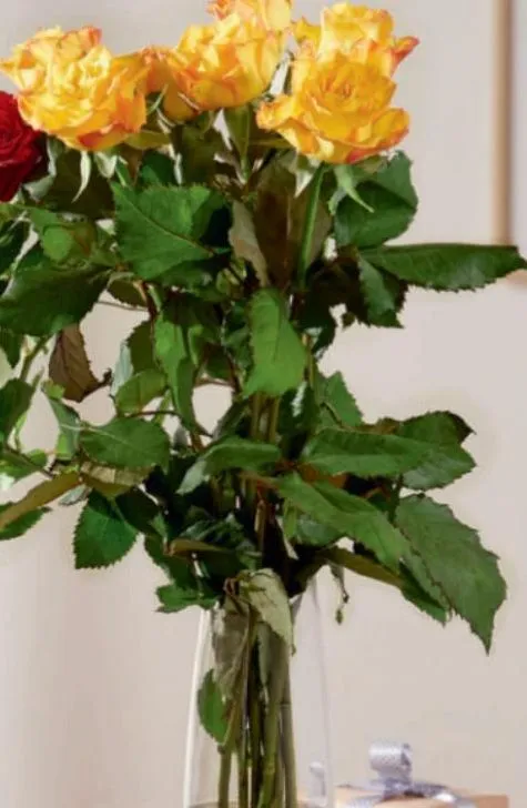 bouquet 7 roses 50 cm