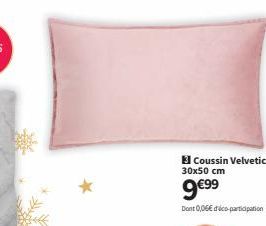 Coussin Velvetic  30x50 cm  9€99  Dont 0,06€ dico-participation 