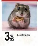€ hamster russe  95 