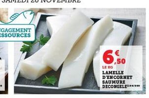 6,50  LE KG  LAMELLE D'ENCORNET SAUMURE DECONGELE 