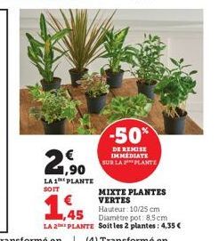 € 1,90  LA 1 PLANTE  SOIT  -50%  DE REMISE IMMEDIATE SUR LA PLANTE  MIXTE PLANTES VERTES  Hauteur: 10/25 cm Diamètre pot: 8,5 cm LA 2 PLANTE Soit les 2 plantes: 4,35 €  ,45 