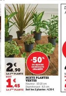 2,90  la 1e plante  soit  € 1,45  la 2 plante  -50%  de remise immediate splante  mixte plantes vertes  hauteur: 10/25 cm diamètre pot: 8,5 cm  soit les 2 plantes: 4,35 € 