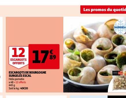 escargots Escal