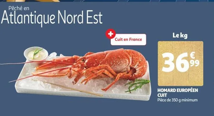 homard européen cuit