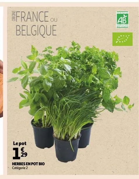 herbes en pot bio