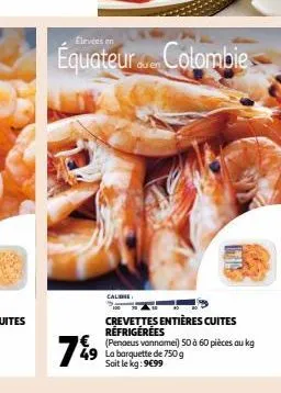 crevettes 