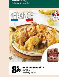 FRANCE  € 6CAILLES SANS TÊTE 95 6x160g  Soit le kg: 9€32  895  K  paastanel 