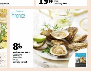 Élevées en  France  899⁹9  HUÎTRES PLATES  Calibre n°3  1 douzaine  660 g  Soit le kg: 13€62  AMPUT 