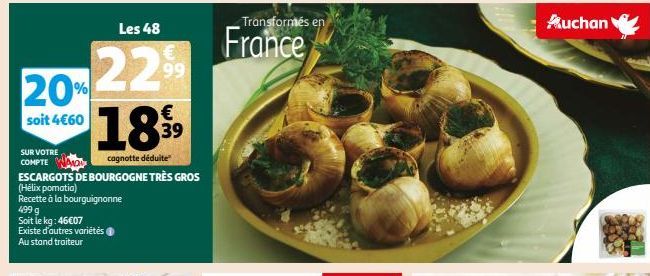 escargots 