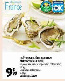 Elevées en  France  99⁹9⁹9  900 g Soit le kg: 11€10  HUÎTRES FILIÈRE AUCHAN CULTIVONS LE BON  12 pièces de creuses spéciales calibre n°2  12 kg Ou plotes calibre n'l  caus  BON  MOastha 