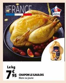 FRANCE  Lekg €  795  CHAPON LE GAULOIS Blanc ou joune  pane  