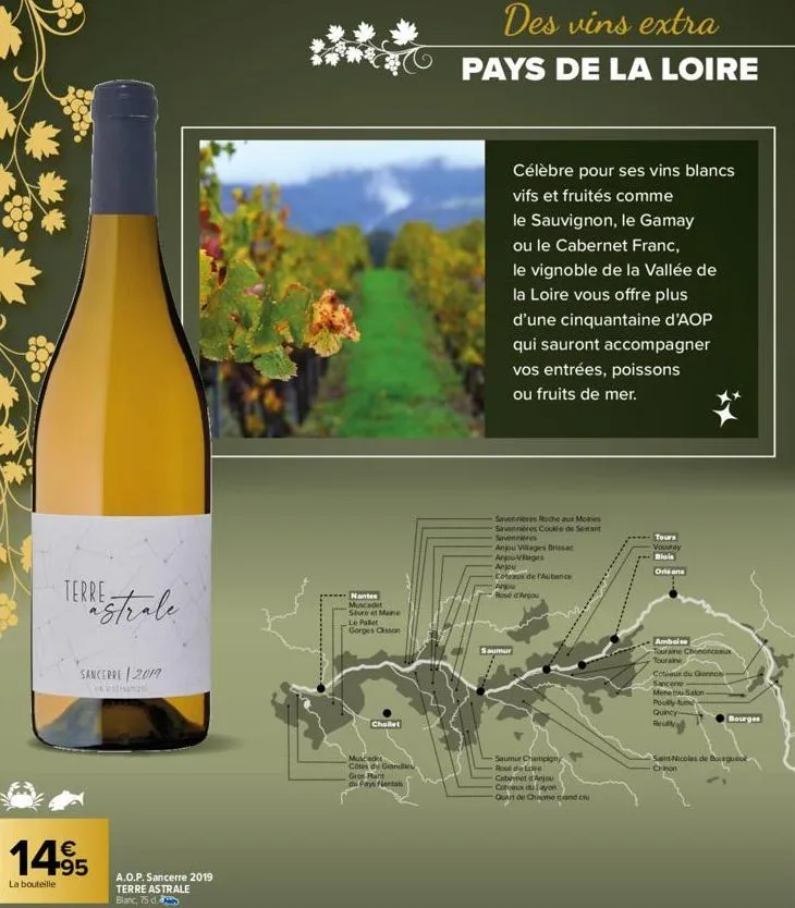 terre  kastrale  sancerre 2019  €  14.95  la bouteille  nantes muscadet sèvre et maine le pallet gorges cisson  chollet  muscadet cotes de grandlie gros plant  du pays nantan  des vins extra  pays de 