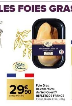 foie gras de canard 